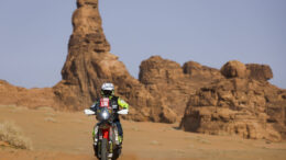 Falcon seriously injured: Spanish rider revived in the desert