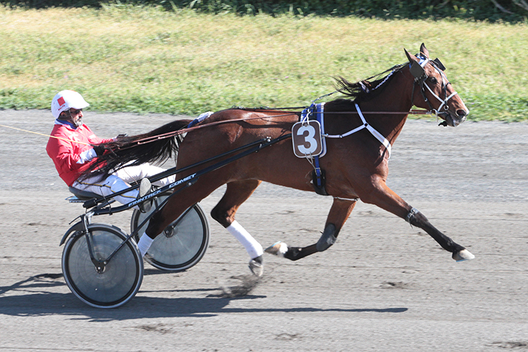 A Festival Of International Encounters In Malta A Festival Of International Encounters In Malta | Maltasport.mt