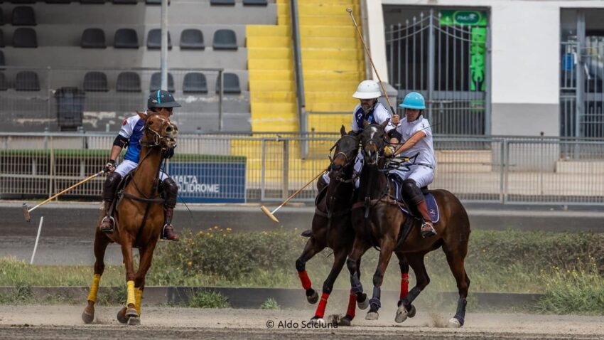 Maltese Polo National team faces Ireland in the Alexandria Cup