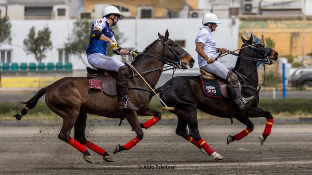 Maltese Polo National Team Faces Ireland In The Alexandria Cup Maltese Polo National Team Faces Ireland In The Alexandria Cup | Maltasport.mt