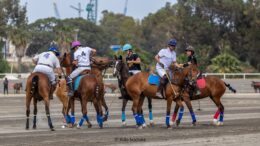 Malta Polo Club organizes successful competitions at Malta Equidrome