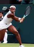 Injuries and in-form stars set stage for Wimbledon drama
