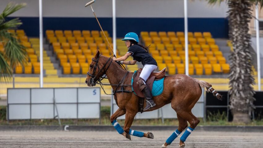 Malta Polo Club to organize Polo for a Cause