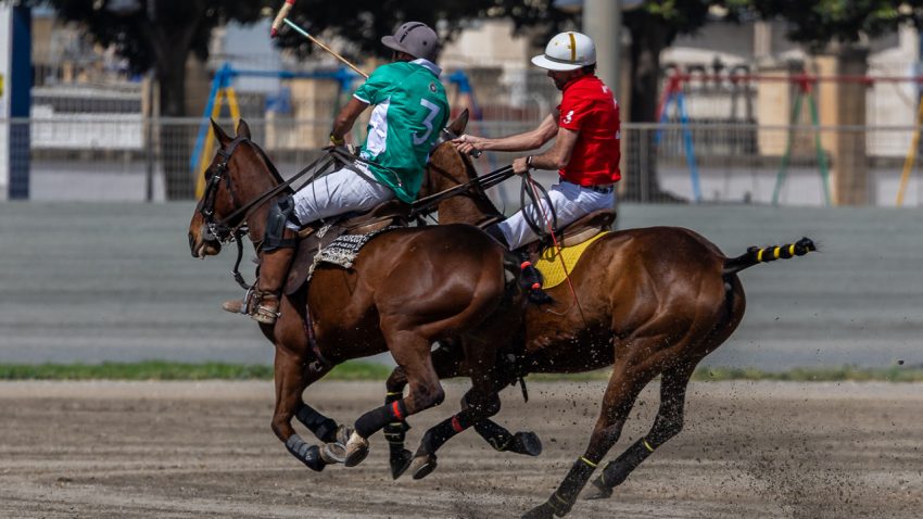 Malta Polo Club to host The Ormsby Johnson Cup