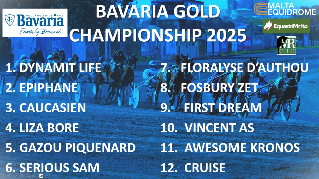 Bavaria Championship Final For Gold Category Horses | Maltasport.mt