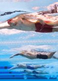 World Aquatics confirms dates for World Aquatics Swimming Championships Beijing 2026