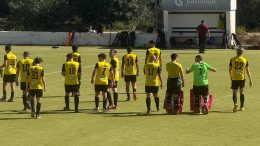 Qormi Daikin run riot against White Hart