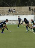 GREE Żurrieq Wolves Hotsticks grab first win of the season