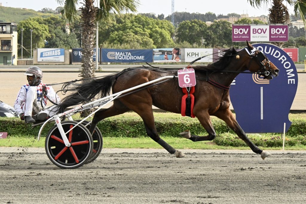 Malta’s Most Prestigious Race The Bov Tazza L-Kbira Is Back | Maltasport.mt