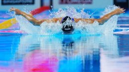 World Aquatics and ITA deliver rigorous anti-doping testing programme